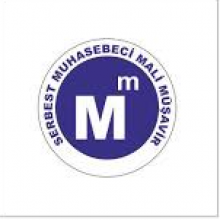 Recep Adanur, Serbest Muhasebeci Mali Müşavir